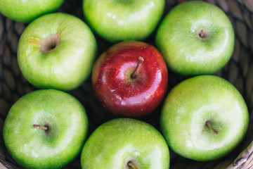 Closeup view of a healthy colorful green apples and one red apple in a basket and the tasty benefits of each. Be different