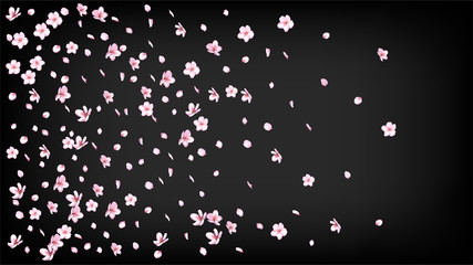 Nice Sakura Blossom Isolated Vector. Summer Falling 3d Petals Wedding Paper. Japanese Nature Flowers Illustration. Valentine, Mother's Day Magic Nice Sakura Blossom Isolated on Black