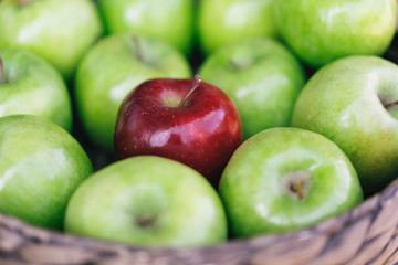 Closeup view of a healthy colorful green apples and one red apple in a basket and the tasty benefits of each. Be different