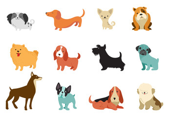 Dogs - collection of vector illustrations. Funny cartoons, different dog breeds, flat style
