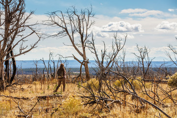Fototapeta premium Woman in dead tree forest