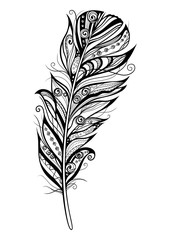 Decorative stylized feather on white background. Highly detailed ornate vector illustration doodling and zentangle style