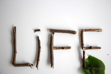 life wooden background