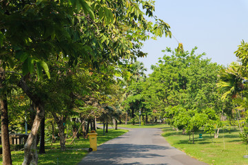 Beautiful green tree, plants, forest and flowers in the outdoor gardens and parks