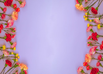 Blue background with carnations flowers and copy space. Top view. Mother's Day background.