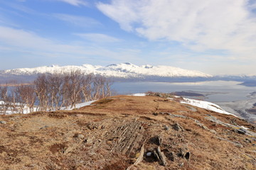 Hiking trail to the top of the Bl&aring;fjell or Blafjell mountain in the Nordland, Norway