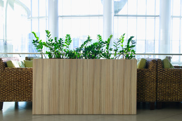 The interior of the cafe. Tables and rattan chairs. Ornamental plants.