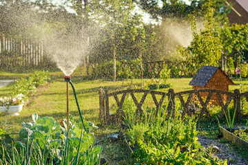 Country works on the personal plot, watering the garden.