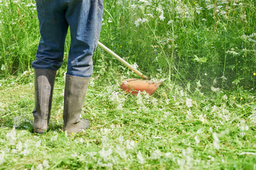 European man is mowing the lawn on his countryside plot. © Artem