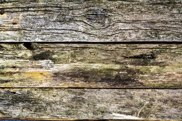 Pine surface from the old boards of gray color located horizontally.