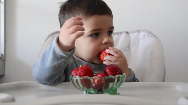 Cute impatient two years old baby boy cant wait to eat strawberries. Eating half of strawberry and than changing to another one