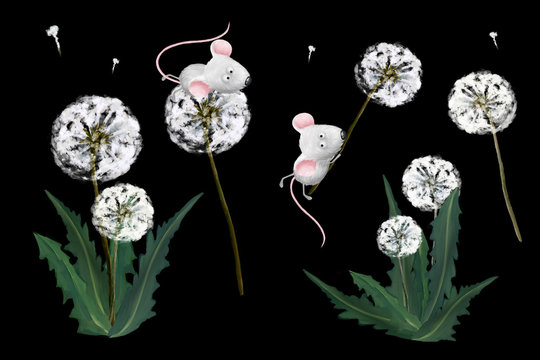 Dandelions and mouses clip art on black background