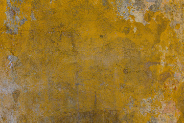 old dirty yellow concrete wall with cracks, scratches, peeling gray and white paint and dark mold stains. rough surface texture