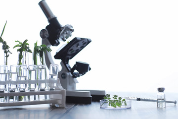 Microscope and test partings on the table in the laboratory.
