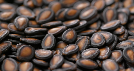 Black watermelon seed