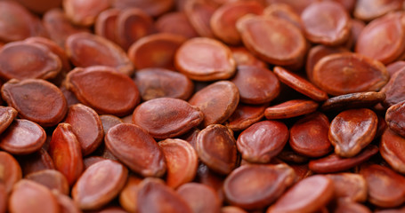 Red water melon dry seed