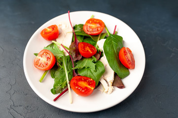 Mix fresh leaves of arugula, lettuce, spinach, tomato and chicken fillet for salad, on a white plate against a stone