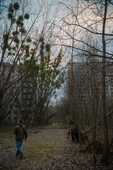 Wild city Pripyat