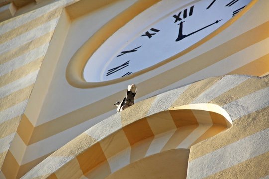 Street clock on the tower. Yellow tower. Pigeon sitting on the structure. Bottom-up view.