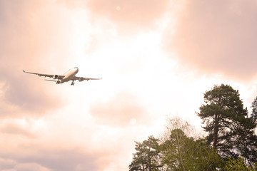 Airliner in the cloudy sky over the pines. Sunset.