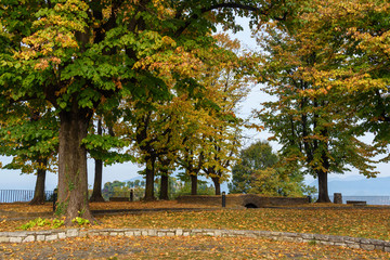 Naklejka premium On top of San Vigilio castle. Bergamo. Italy