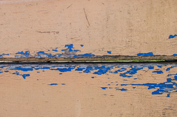 Weathered wood background tufted paint. Copy space