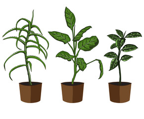 silhouette; plant; pot; tree; isolated; leaf; home; garden; black; foliage; graphic; design; nature; botany; flower; illustration; vector; white; summer; decoration; icon; tropical; botanical; stand; 