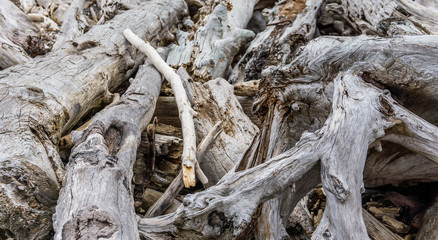 Driftwood Pile On Shore 3