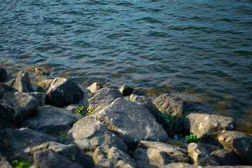 Rocks by Water