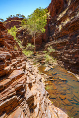 hiking down in hancock gorge in karijini national park, western australia 37