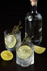 Gin and tonic