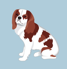 Dog vector FLAT DESIGN color illustration Cavalier King Charles Spaniel