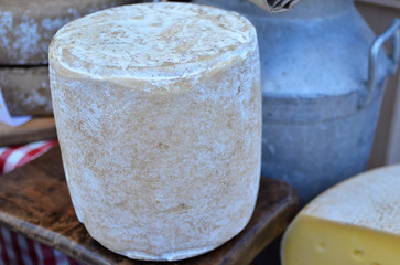 cheese on a wooden board