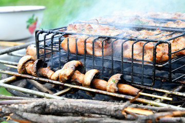 Mushrooms are grilled at a picnic.