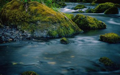 The small brook flowing between mossy stones. Germany Saxony.