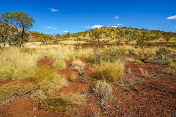hiking to joffre gorge lookout in karijini national park, western australia 7