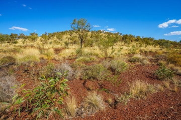 hiking to joffre gorge lookout in karijini national park, western australia 8