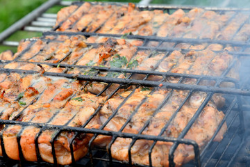 On a picnic barbecue grill on the grill with chicken meat.