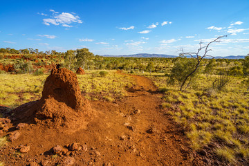 hiking to joffre gorge lookout in karijini national park, western australia 10