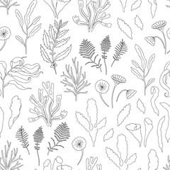 Vector black and white seamless pattern of seaweeds. Monochrome repeating background with laminaria, focus, macrocystis, sargassum, padina, dasya, porphyra