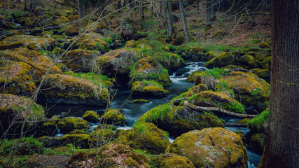 Mossy stones in the water. Calm weather. Spring.