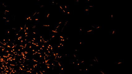 Dust particles. Abstract background of particles. Fire flying sparks. 3d rendering. - Powered by Adobe