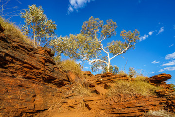 hiking to joffre gorge lookout in karijini national park, western australia 24