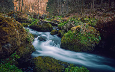 The small brook flowing between mossy stones. Germany Saxony.