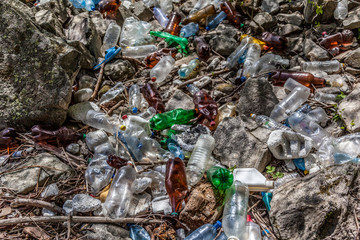 Plastic Bottle in environment. Look What We Have Done?