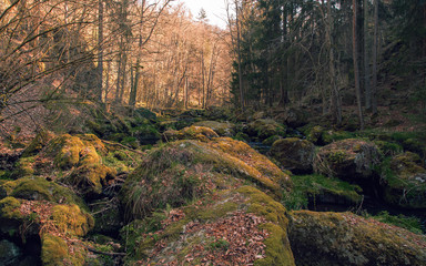 Mossy stones in the water. Calm weather. Spring.