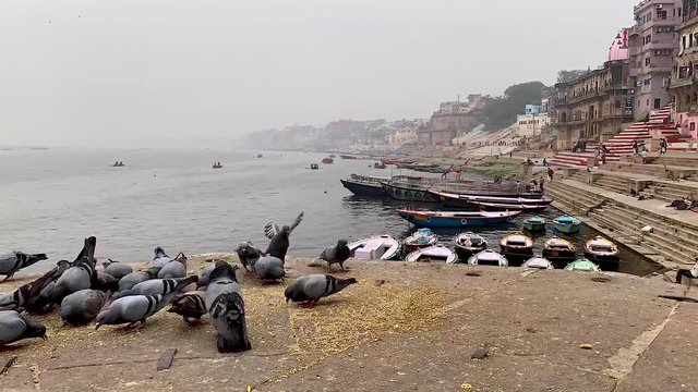March 2019, India, banks of river Ganga, timelapse footage, tc01