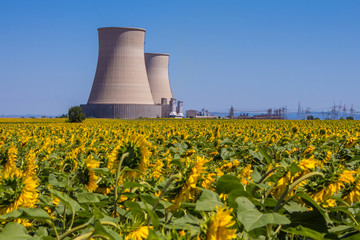 Power Station on Sunflower Farm