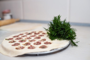 cooking dumplings at home