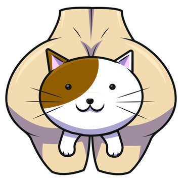 Gato trasero 